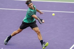 费德勒新星比分优势明显表现惊艳，塞尔维亚队未来可期！的简单介绍