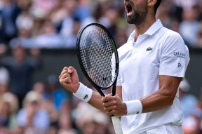 爱游戏-关于德约科维奇爆冷击败美国队，出色防守引爆全场！的信息