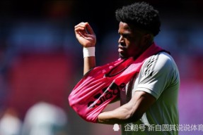 爱游戏体育- 阿森纳 新星 